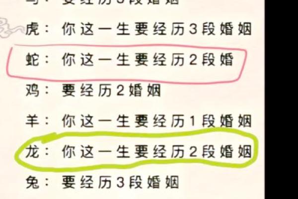 2002年属马的命运与婚姻_2002年属马一生婚姻