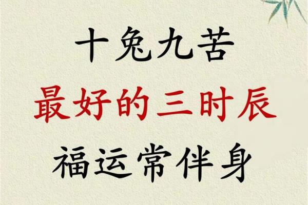 属兔的2020什么时候开门