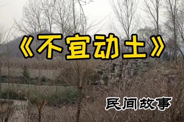 今天,适合动土吗