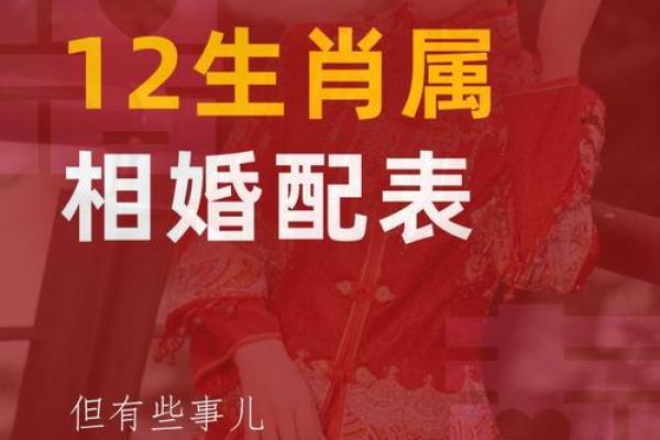 “狼烟四起”是代表哪个生肖，狼烟四起什么生肖答案解释释义落实