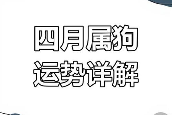 属狗今日运势解析财运亨通机遇与挑战并存