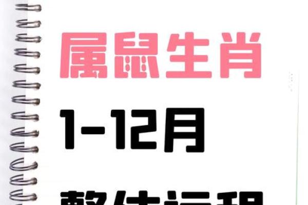 1984年2025年的鼠每月运势