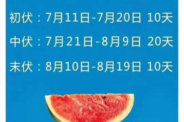 2021三伏天第一天是什么时候 今年入伏从哪一天开始算