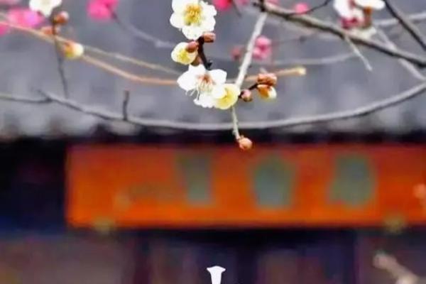 2016立春