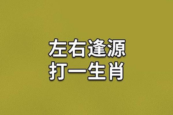才德兼备打一生肖