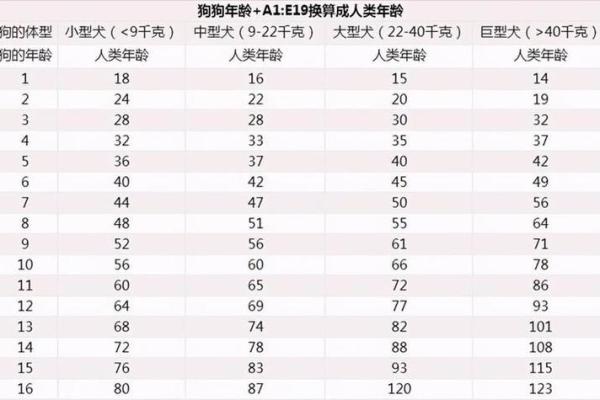 1994年1月属狗还是鸡 1994年1月出生属狗还是鸡生肖年份解析