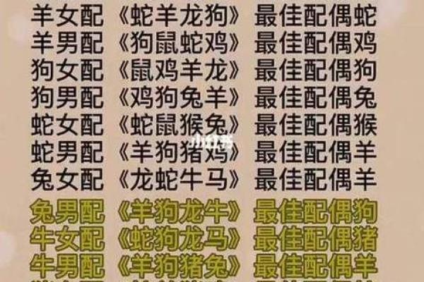 属猪男会爱上龙女吗 属猪男与龙女爱情缘分解析与配对指南