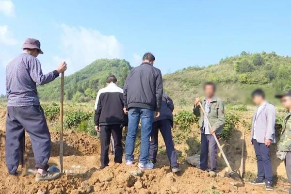 明天是否适合动土