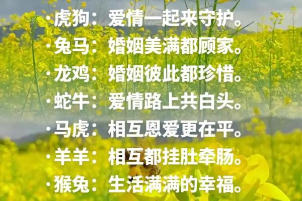 二婚比头婚幸福的生肖女_二婚更幸福生肖女
