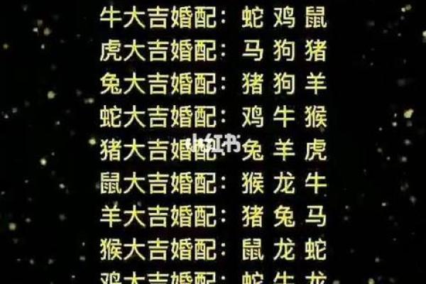 水乳交融是什么生肖