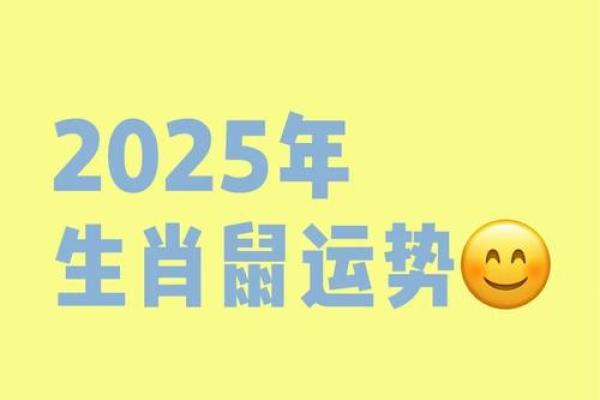 1984年鼠2025年运势及运程
