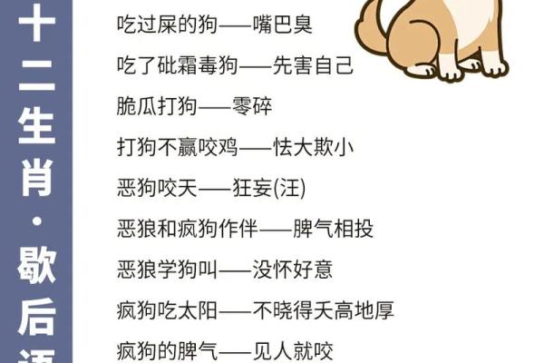 大败而逃是什么生肖(大败而逃是什么生肖动物)
