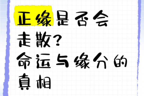 两个人的缘分真的是上天注定的吗揭秘命运与选择的奥秘