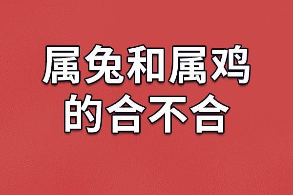 属兔和属鸡的婚配怎么样 属兔能和属龙的婚配吗