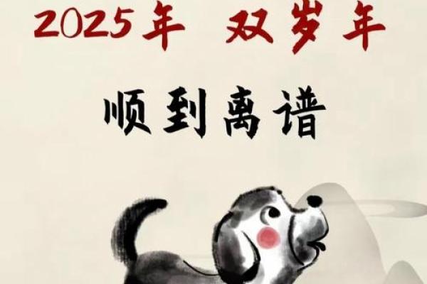 2025年谁最旺属狗人_2025年属狗人运势大爆发谁将助力最旺