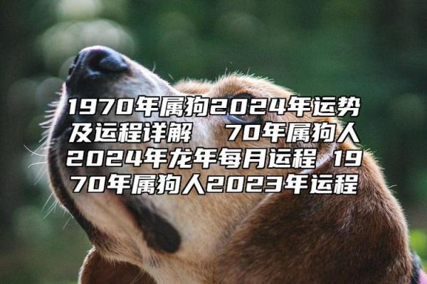 1958年属狗男晚年命运 1958年属狗男晚年命运解析运势走向与生活建议