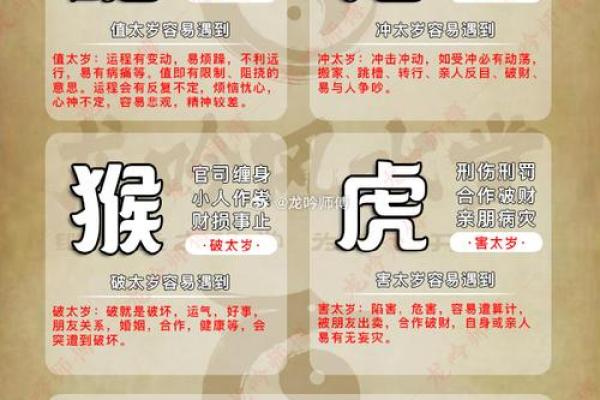 “龟鹤之年”打一个生肖动物，龟鹤之年打一生肖答案解释释义落实