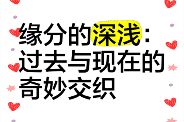 缘分浅是什么意思深度解析缘分浅的含义与影响