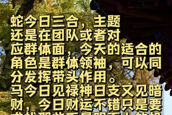 属马的今天运气怎么样财运怎么样_属马的今天运气好吗