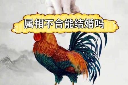 属兔和属羊的婚姻配对天生一对还是挑战重重