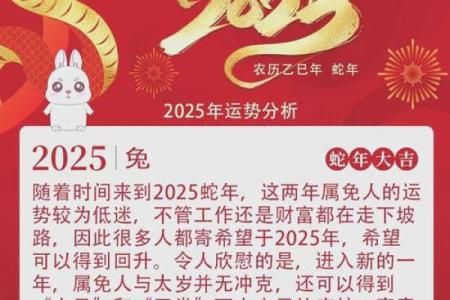 1999年属兔男孩事业运势解析与成功秘诀