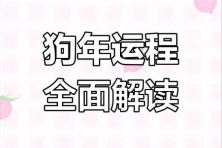 属狗2025年的运势及运程每月运气_2025年属狗每月运势详解全年运程大揭秘