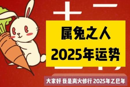 属兔的人2025年运势 属兔的人2025年运势及运程每月运势如何