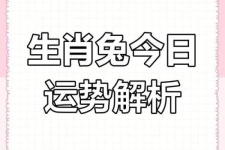 2025属兔女1975年幸运色是什么_2025年属兔女1975年幸运色解析与运势指南