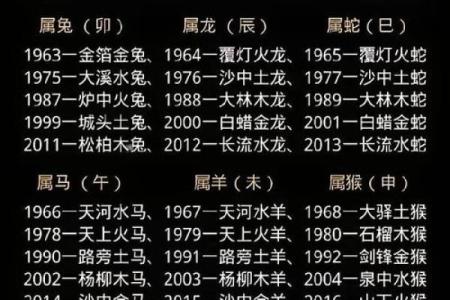 2012年是什么生肖年