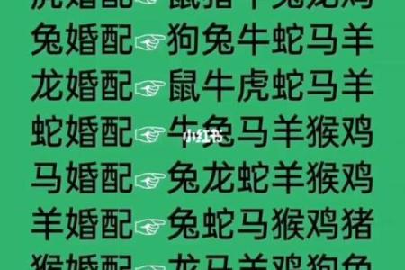 红颜薄命的生肖是什么生肖(红颜薄命的生肖有哪些)