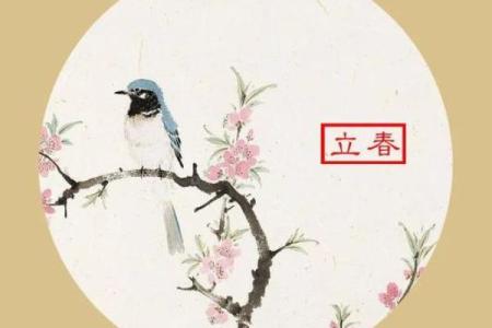 2016立春