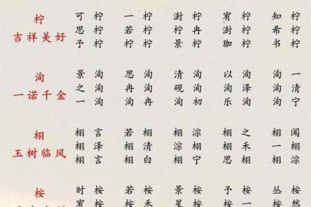 龙年公司起名