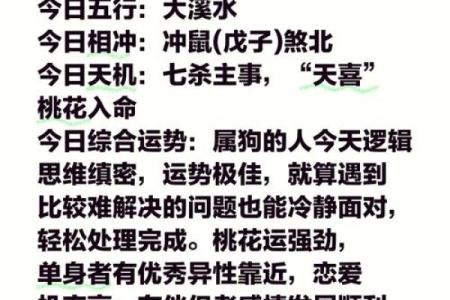 82年属狗女2025年的运势 1994年属狗女2025年运势