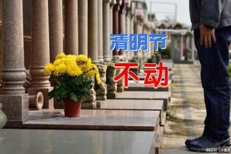 清明节动土好吗