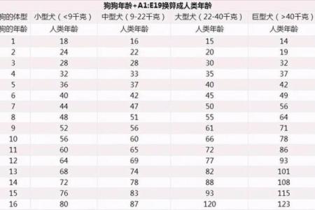 1994年1月属狗还是鸡 1994年1月出生属狗还是鸡生肖年份解析