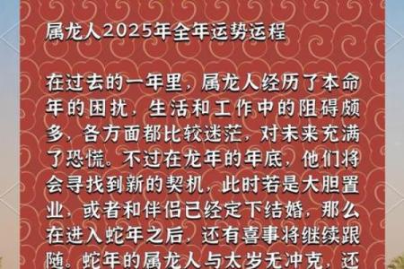 2023年12月1976年属龙人年龄解析47岁运势详解