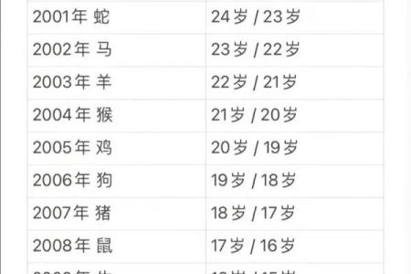 2002年出生的属马今年运气 2002年属马人2023年运势解析兔年运程与注意事项