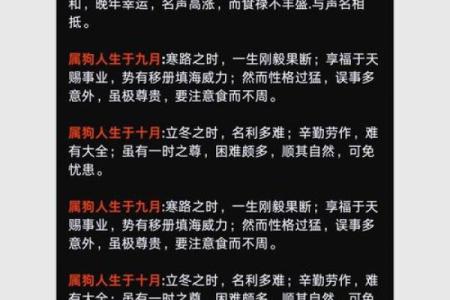 2025年属狗运势详解财运事业感情全面解析