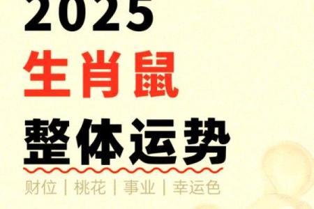 72年属鼠的今日运势