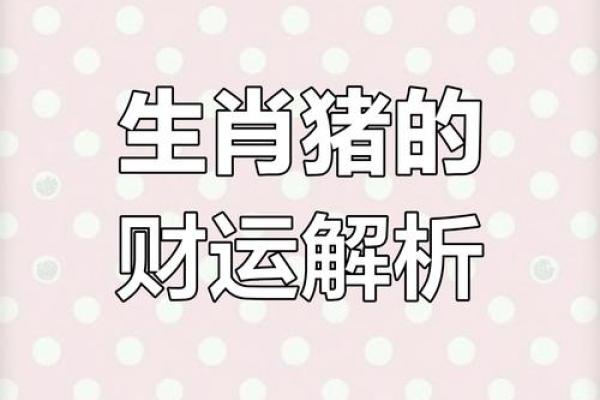 2019年属猪人2025年运势详解财运事业感情全解析
