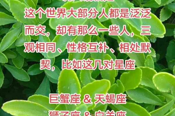 巨蟹座女跟处女座男(巨蟹座女跟处女座男性格)