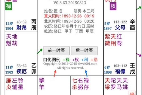 2025年4月4日申时男命紫微斗数全解盘
