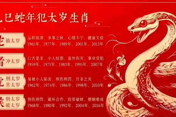 2025属龙的属于什么命 2025年属龙人的命运