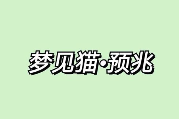 梦见猫咬人是什么预兆