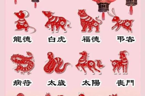 2025年4月30日生肖运势分析