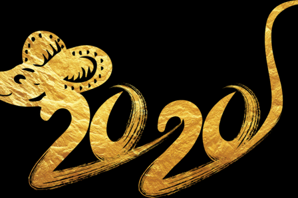 2020年的图片