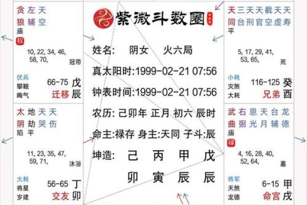 2025年4月14日辰时女命紫微斗数全解盘