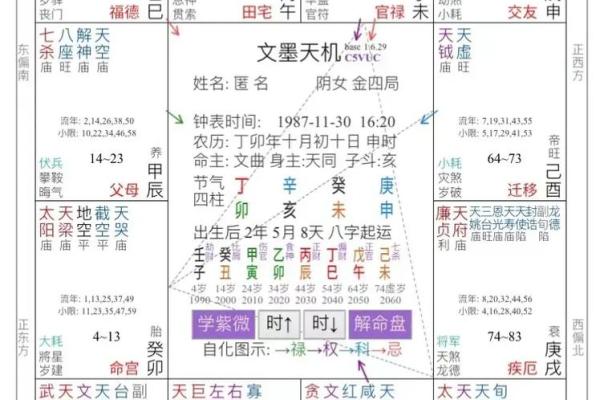 2025年4月24日亥时男命紫微斗数全解盘