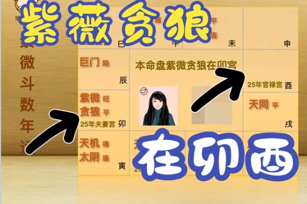 2025年4月6日午时女命紫微斗数全解盘