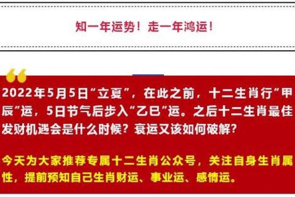 2002年2月9日属马还是蛇_2002年2月9日出生属什么命